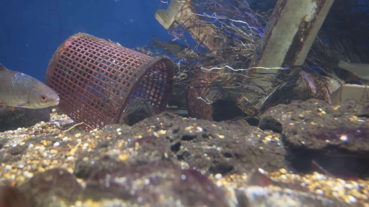 problemas medioambientales relacionados con la contaminación del agua.