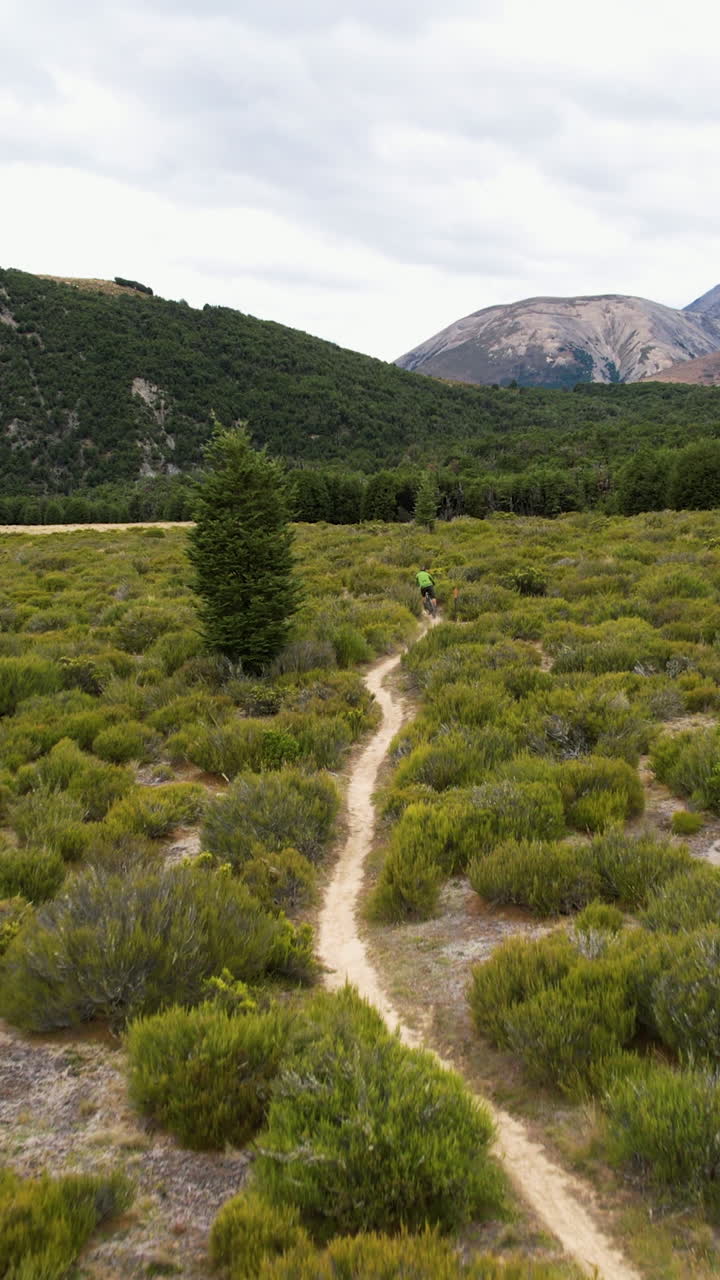 Vista aerea verticale che segue un ciclista MTB, che pedala nella natura di Cragieburn, Nuova Zelanda.