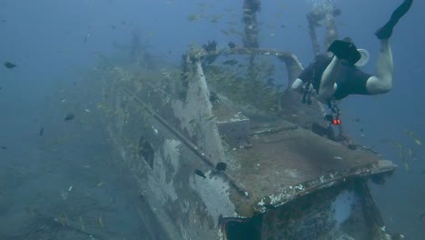 scuba diver swimming over a sunken ferry with schooling yellow snappers