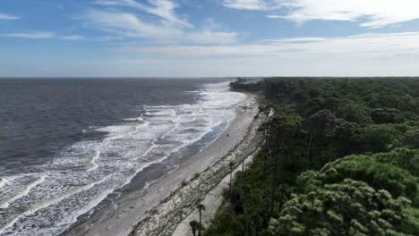 aerial view of a secluded beach with lush forest