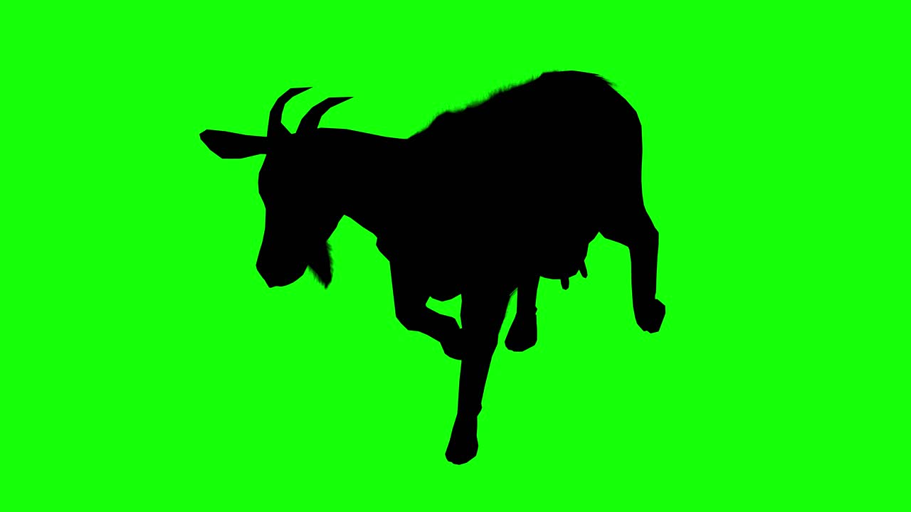 Silhouette di una capra che cammina su schermo verde, vista in prospettiva.
