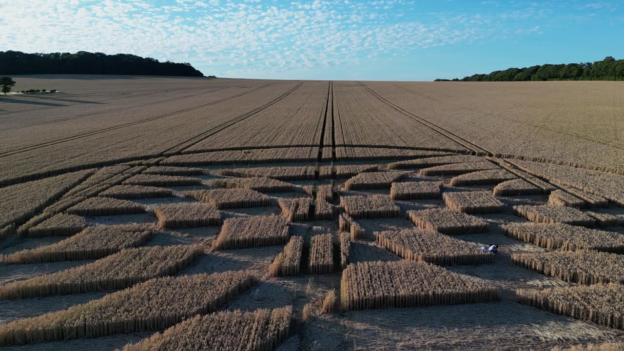 misteriosa estación micheldever matemático campo de trigo círculo de cultivo formas aérea ascendente inclinación hacia abajo revelar
