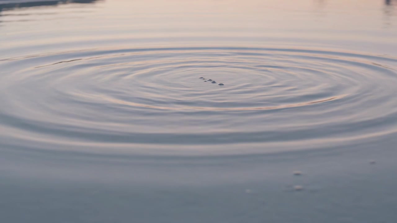 Onde concentriche sull'acqua che si formano da una perturbazione centrale e si diffondono verso l'esterno al bordo dello stagno.