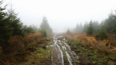 wet dirt road in forest landscape during heavy fog, aerial dolly backward