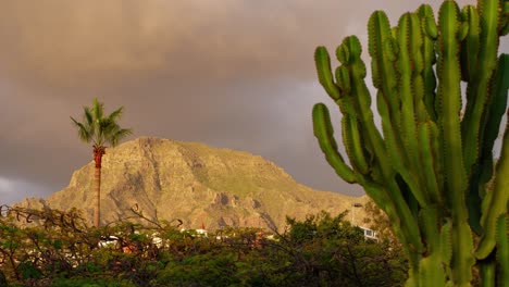 beautiful timelapse of fast moving clouds at las americas , distant mountain, golden hour light before the sunset, vegetation in foreground, medium shot