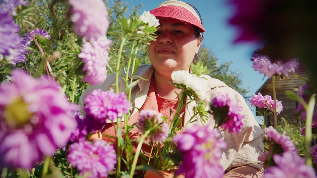 A Passionate Gardener Tending to Vibrant Flowers in a Colorful Flowerbed Under a Clear Blue Sky, Embracing Nature's Beauty and Serenity