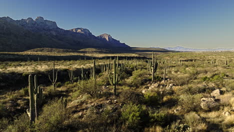 Drone-footage-flying-towards-valley-in-desert-with-cacti