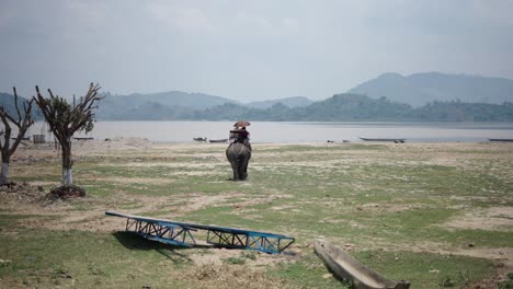 elephant ride by the lake