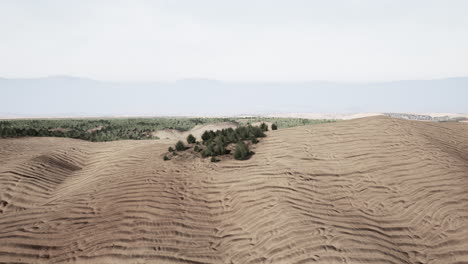 Scenic-desert-steppe-landscape-with-mountains