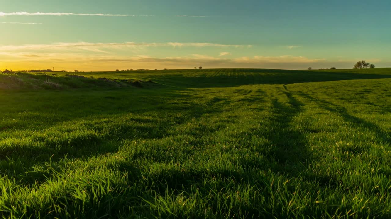 Sole basso che tramonta, illuminando un campo erboso e tracce che svaniscono verso il crepuscolo, per l'agricoltura.