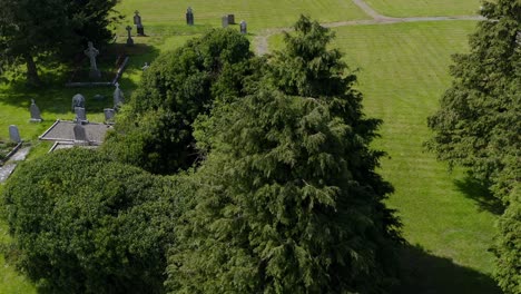 orbit reveal of cargin church overgrown walls with peaceful cemetery