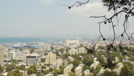 ciudad costera mediterránea, árbol en primer plano y ciudad y playa en segundo plano