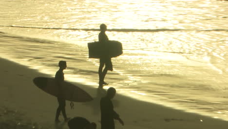 silhouette of surfers at sunset on the beach