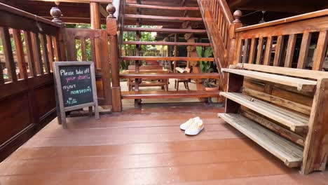 wooden stairs and serene surroundings in ayutthaya