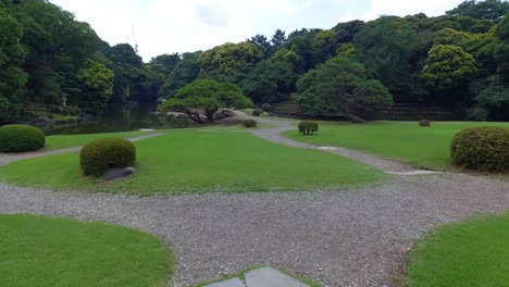 pov walking in yoyogi park