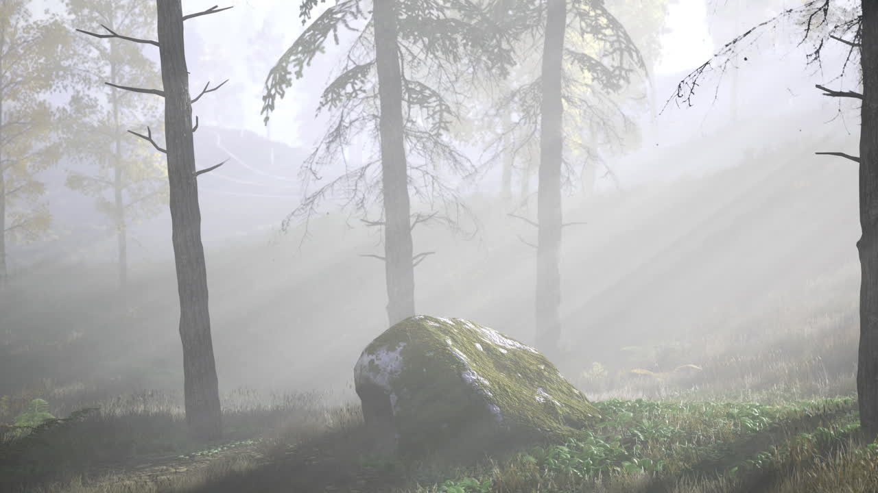 Misty forest landscape with sun rays shining through trees and a mossy rock
