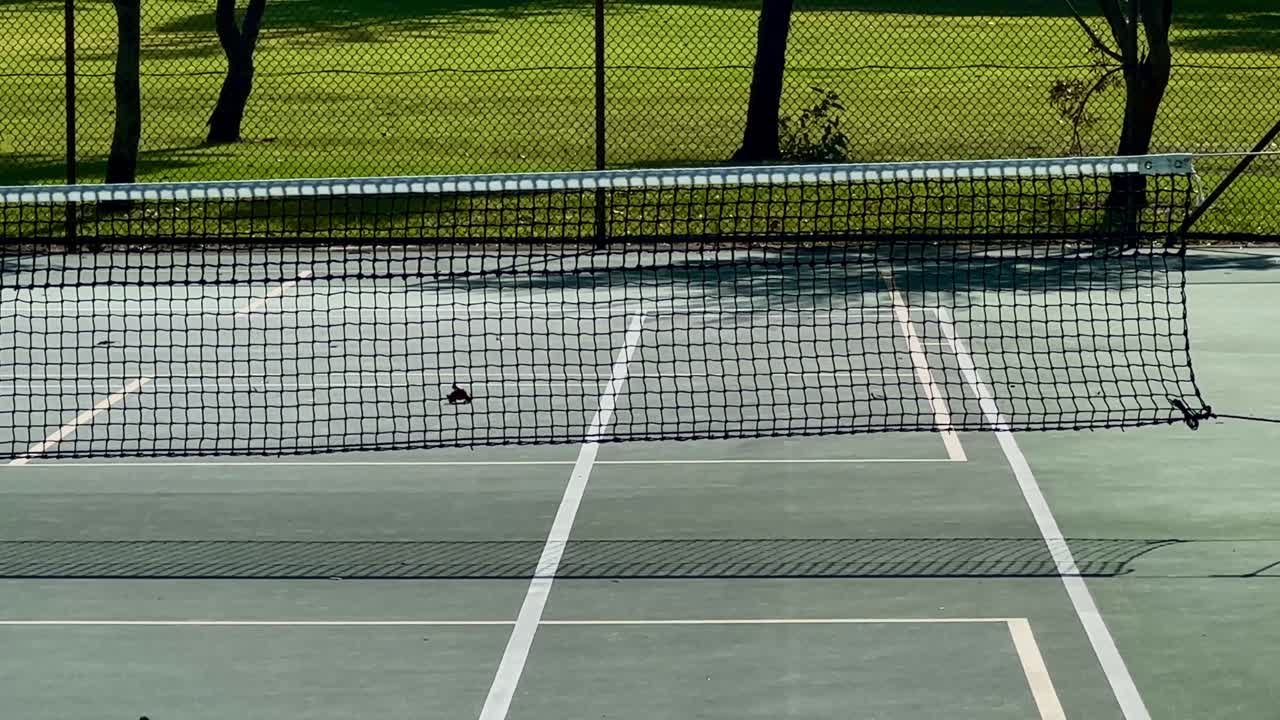 Tennis court closeup end section of net green lawn Perth Western Australia