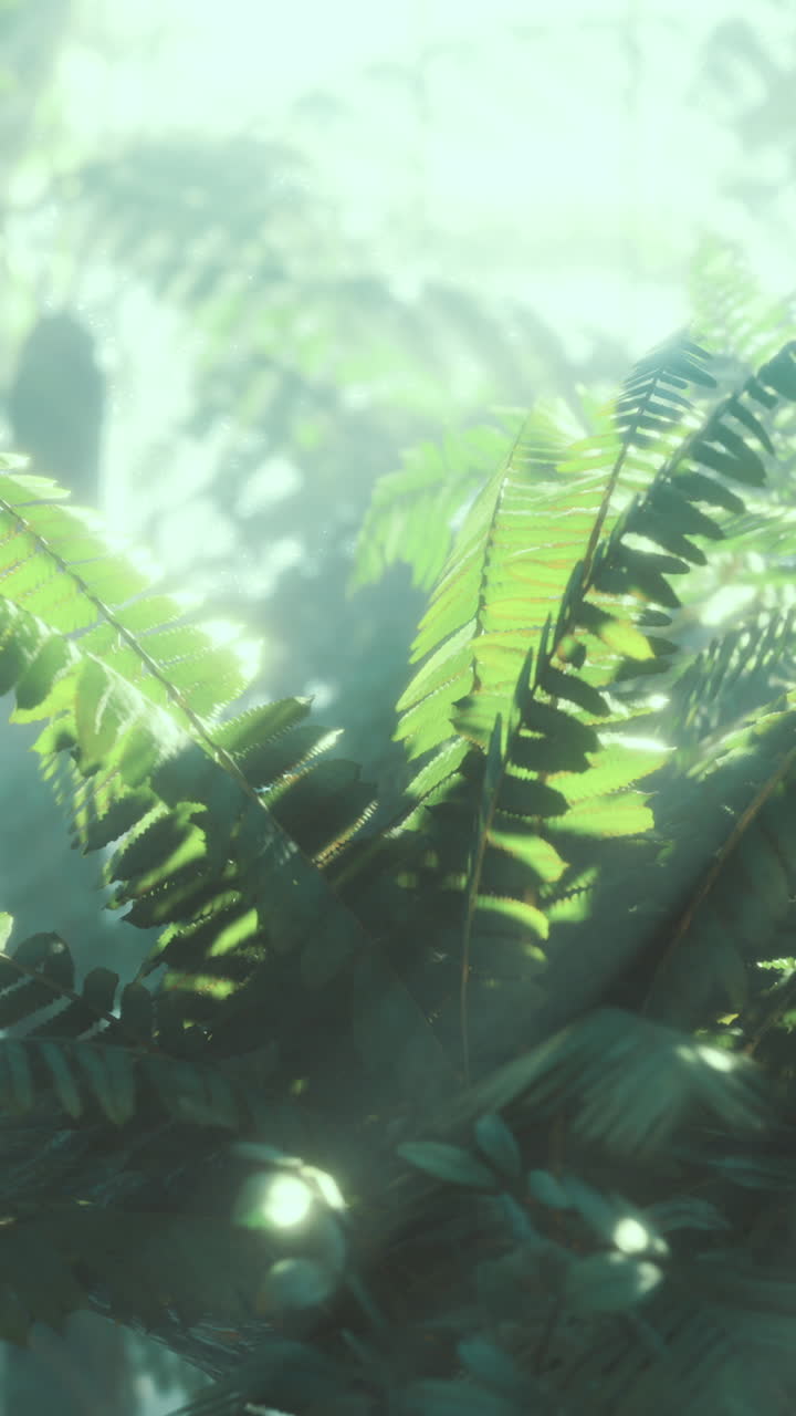 Bright photograph capturing detailed fern leaf structure and texture