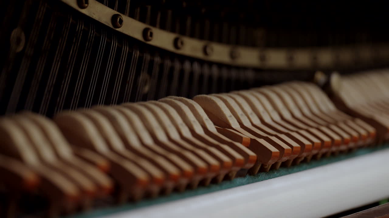 Martelletti che colpiscono le corde del pianoforte al rallentatore.