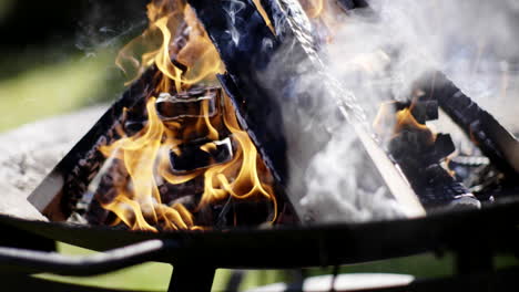 fuego de campamento
