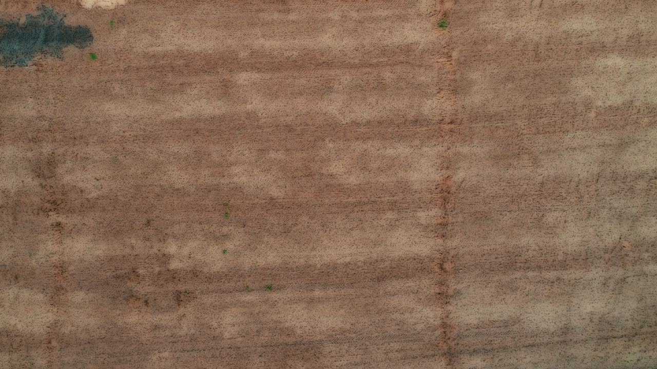 increíble cosecha plana recta y campo agrícola de paja dorada y trigo amarillo preparado para la agricultura pila.