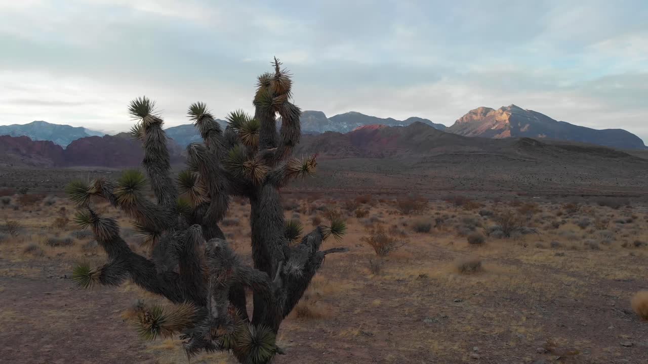 cañón de roca roja joshua tree con montañas en la distancia
