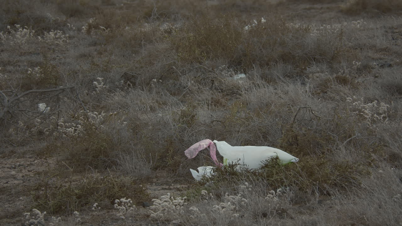 잔디에 쓰레기 봉투