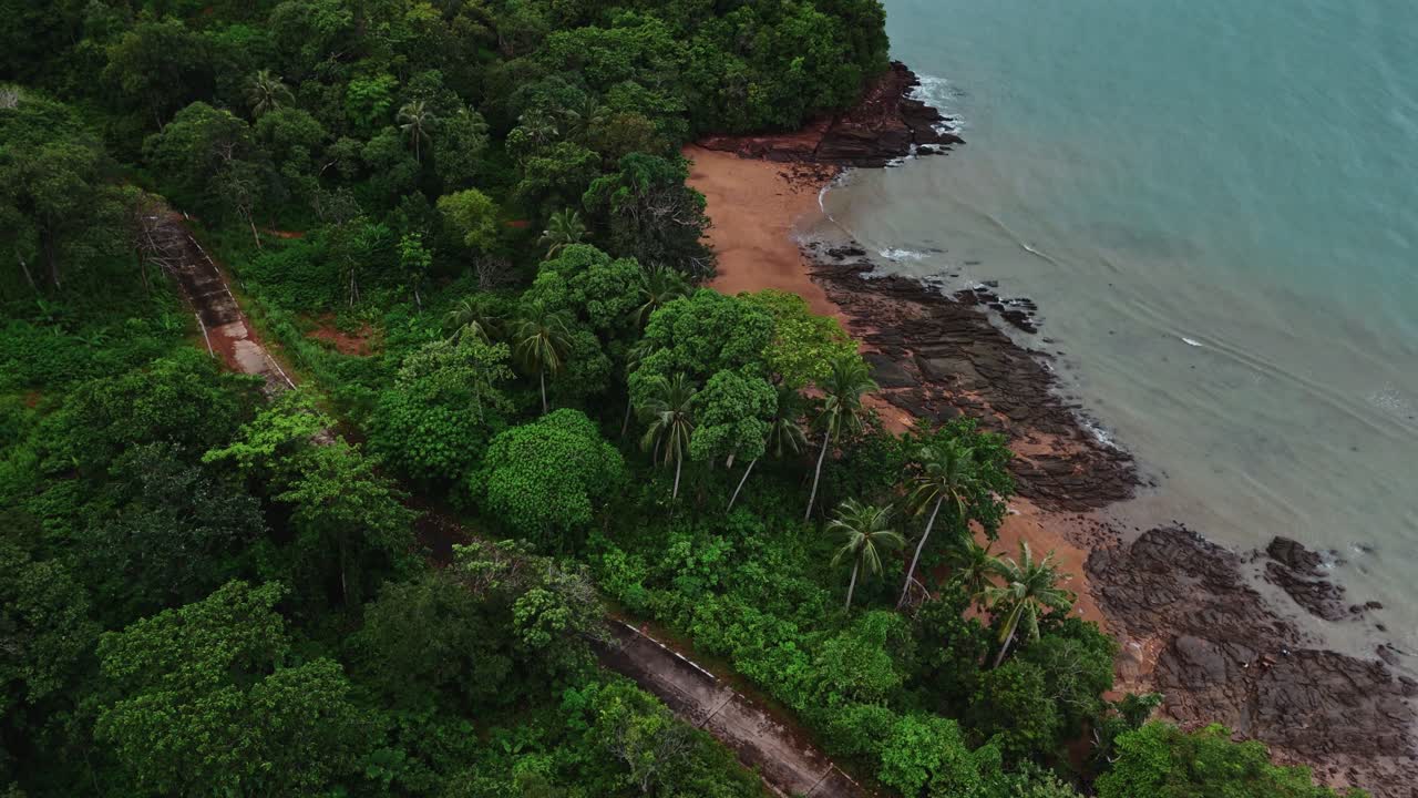 Aerial Shot of Coastal Green Forest and Path Against the Ocean