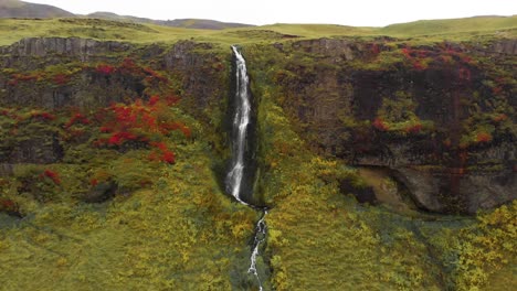 Cascada-De-Seljalandsfoss-Cayendo-Sobre-Un-Acantilado-Cubierto-De-Musgo-En-Islandia