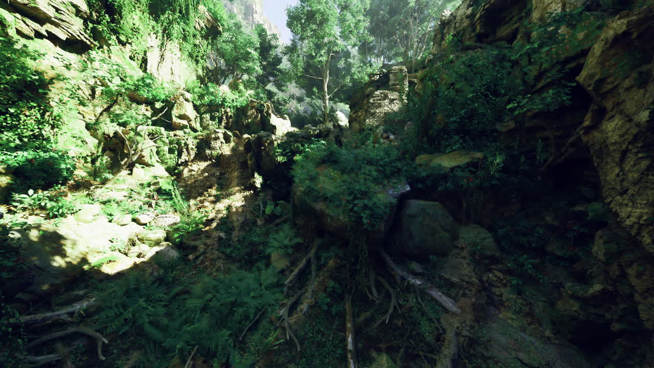 Lush greenery and rocky terrain in a vibrant forest landscape