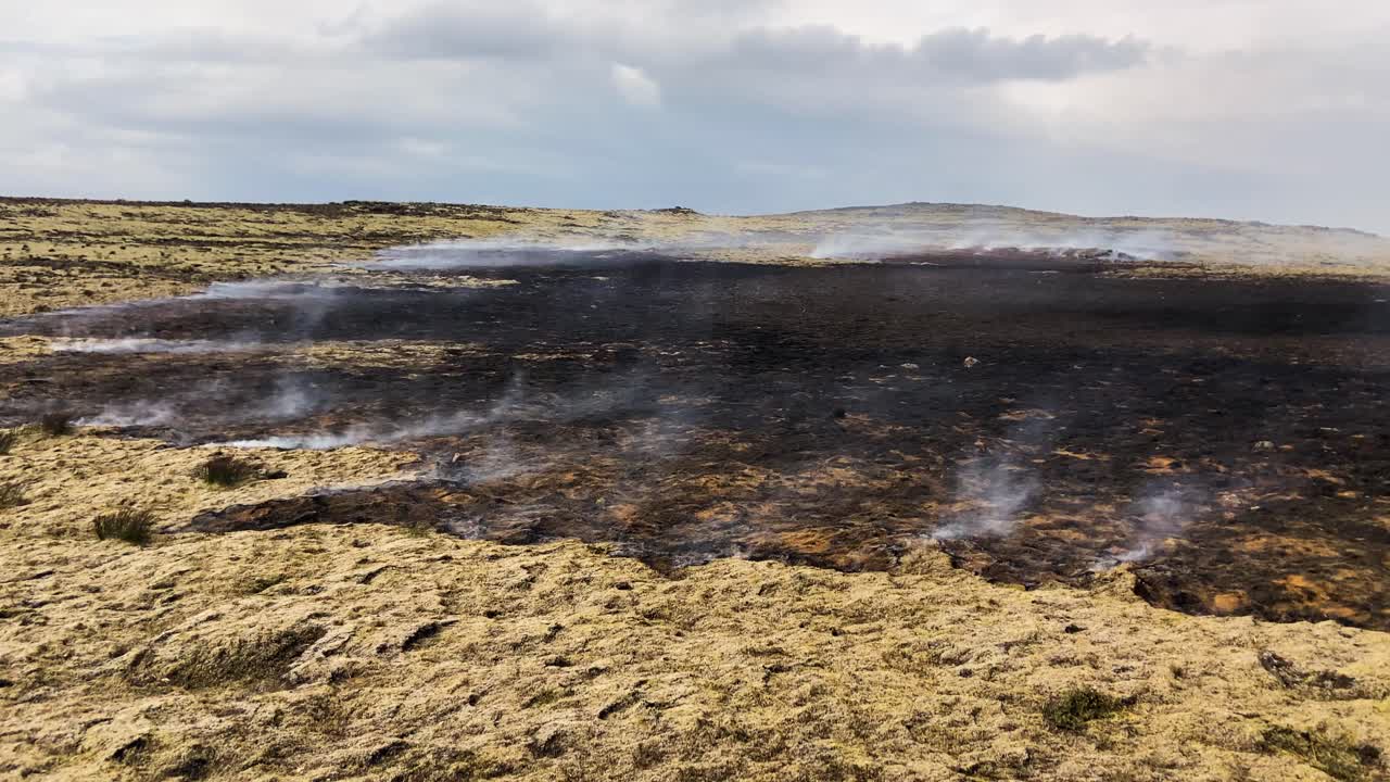 el viento barriendo el campo de lava de musgo islandés, bajo un cielo nublado, evocando una sensación de naturaleza salvaje
