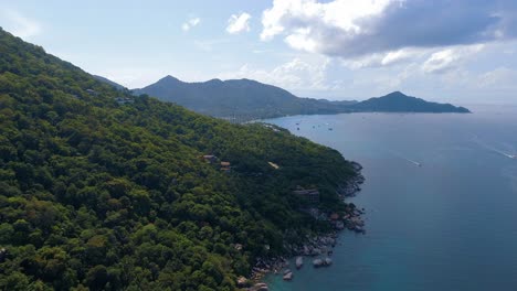 aerial view of a tropical island beach