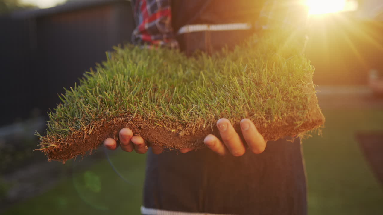 The farmer's hands are holding a piece of land with green grass. Land trade and ecology concept