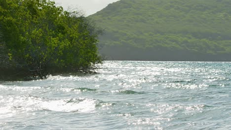 pan to tropical caribbean mangrove shore as ocean waves crash and sunlight glistens sparkling