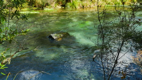 Idílico-Río-Tarawera-Que-Fluye-Durante-Un-Hermoso-Clima-Soleado-Al-Aire-Libre-En-La-Región-De-La-Bahía-De-Abundancia-En-La-Isla-Norte-De-Nueva-Zelanda