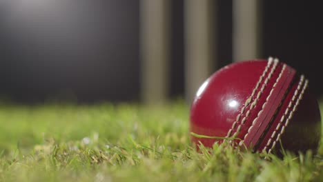 criquet todavía vida con close up de la pelota cayendo en la hierba delante de los troncos