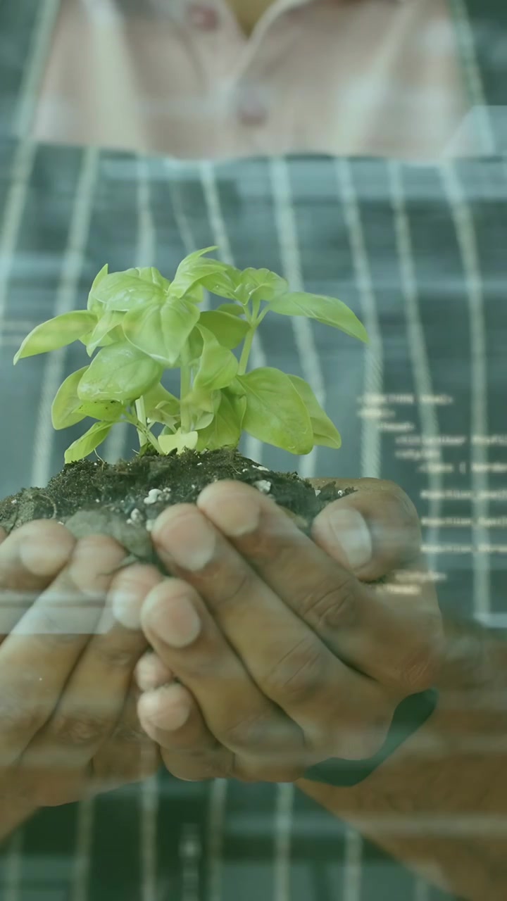 Vertical video: Man bringing seedling, holding while binary UI rising over plant showing technology