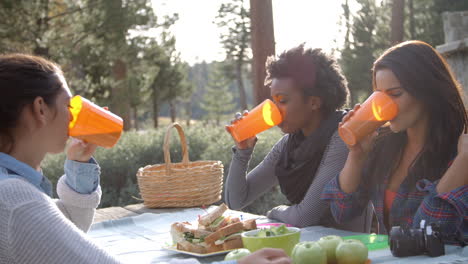 three female friends at a picnic table making a toast