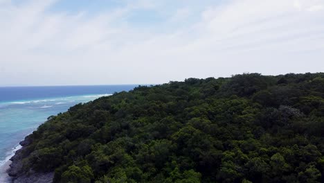 Aerial landscape view rising over dense forest trees on Jaco Island, Timor-Leste in Southeast Asia