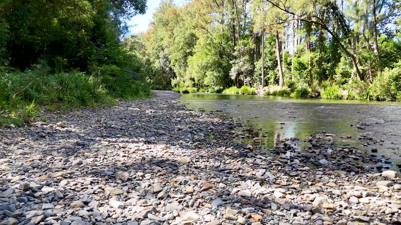 Slow camera glides over rocky creek bank to clear water, lush green forest, bright daylight
