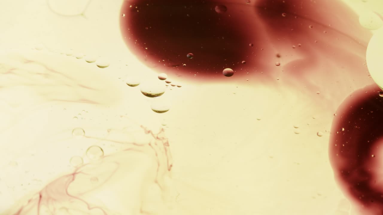 회전하는 색채와 역동적인 움직임의 세계에 몰입하십시오. 우리의 추상적인 페인트 실험으로 진정으로 몽환적입니다.