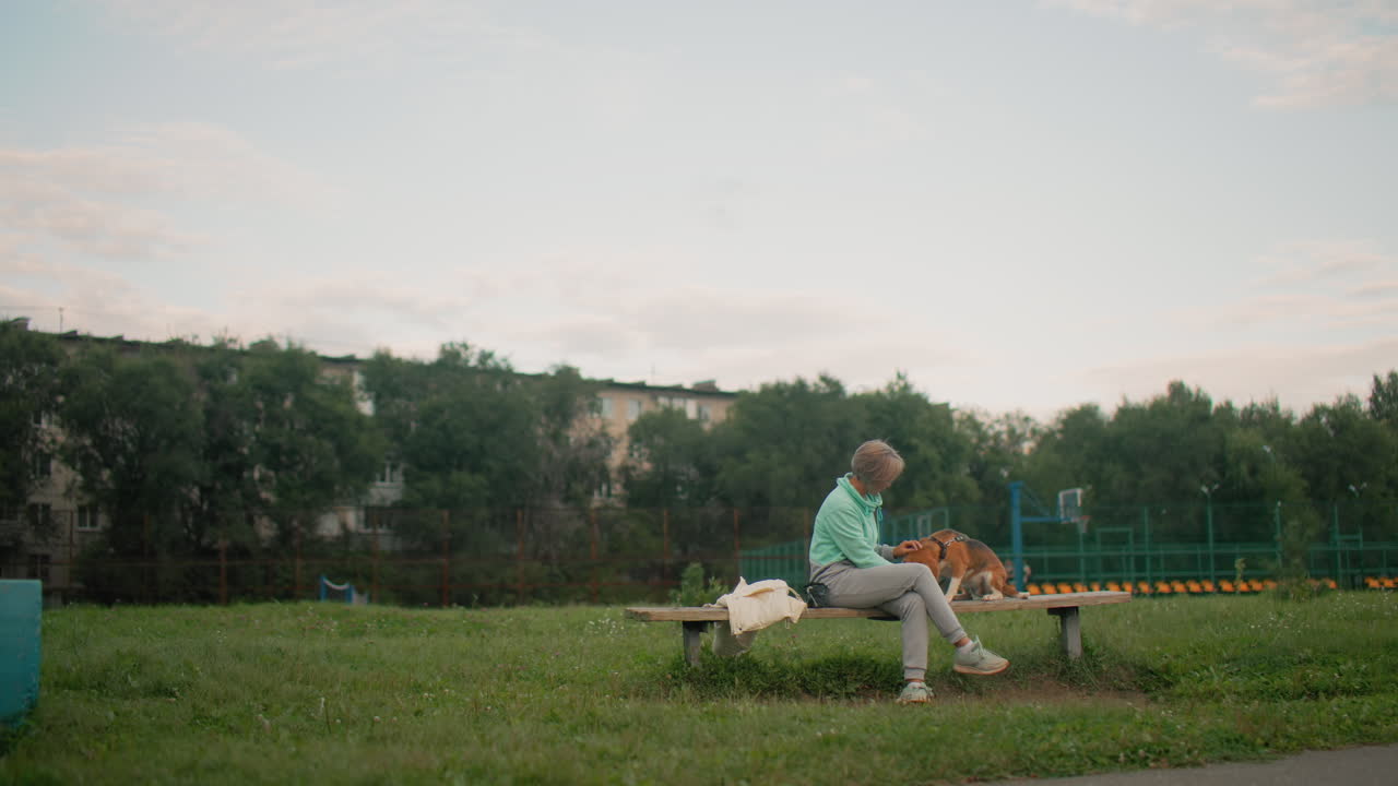 Trainer seated on wooden bench outdoors feeding beagle dog with dry food on tennis court surrounded by green trees and playgrounds under bright sky during peaceful morning fitness outing