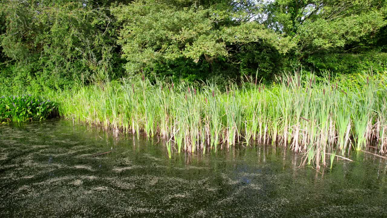 볼링브로크 성의 유적의 항공 비디오 영상 13세기의 육각형 성, 미래의 헨리 4세 왕의 출생지, 인접한 토양작업