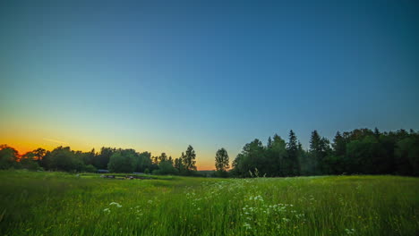 distant view of campers and campfire at the