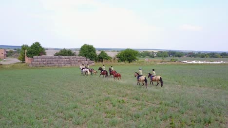 people ride on horseback. people riding on horse on the meadow in countryside