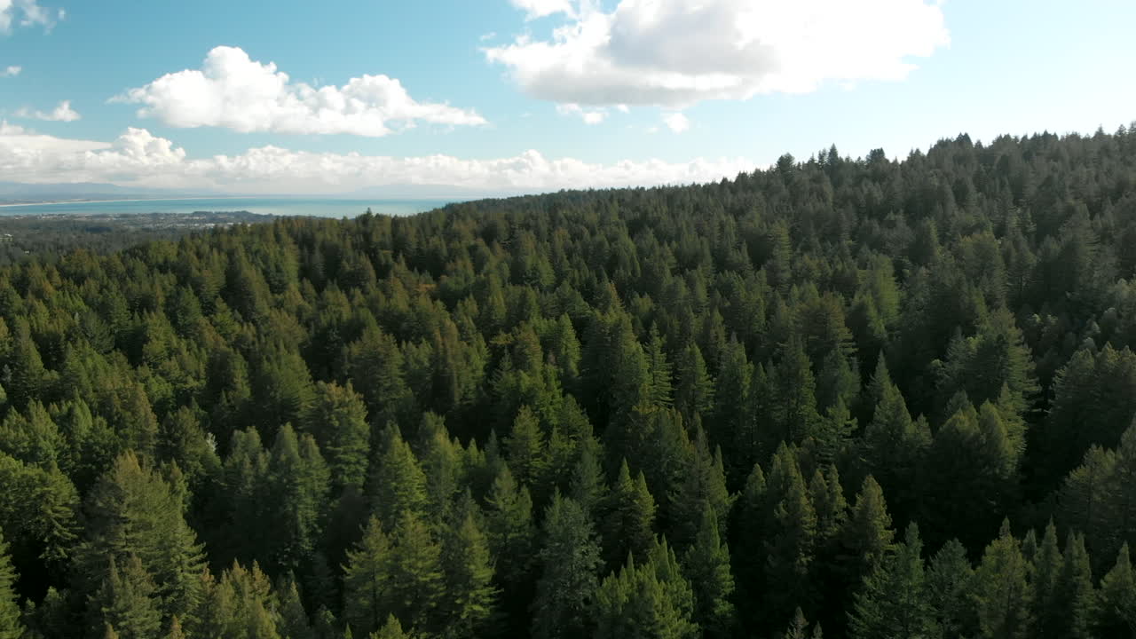 Rivelazione con panoramica verticale dell'oceano dalle montagne boscose.