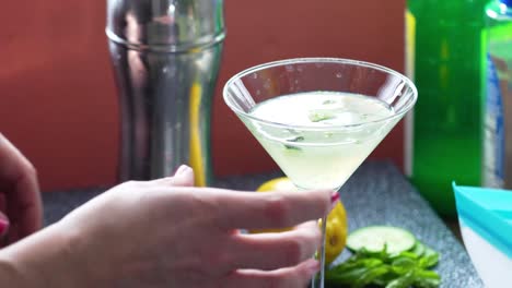 cucumber slices dropped in a martini glass filled with a green cocktail or mocktail drink closeup, alcohol mixed drink made by woman bartender with a lemon and a cobbler shake in the background