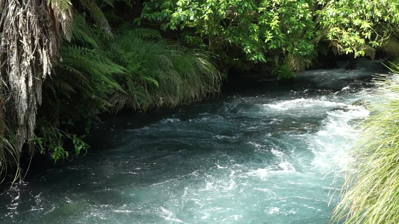 cámara lenta - toma de putaruru de spring creek azul que fluye con rápidos en zelanda