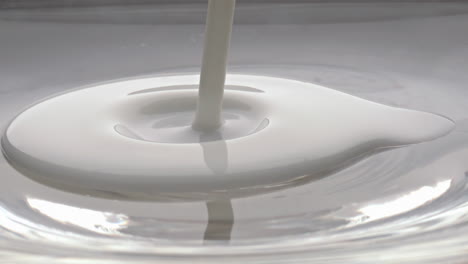 clean milk jet pouring glass bowl closeup. creamy liquid stream flowing slowly