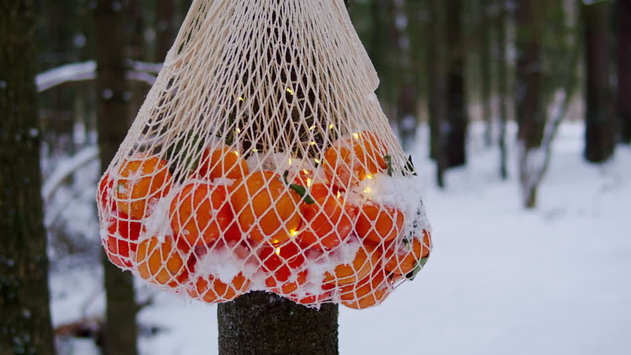 눈 인 숲에서 불빛으로 장식 된 망 가방의 오렌지